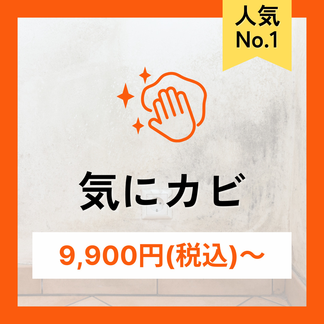 気にカビ