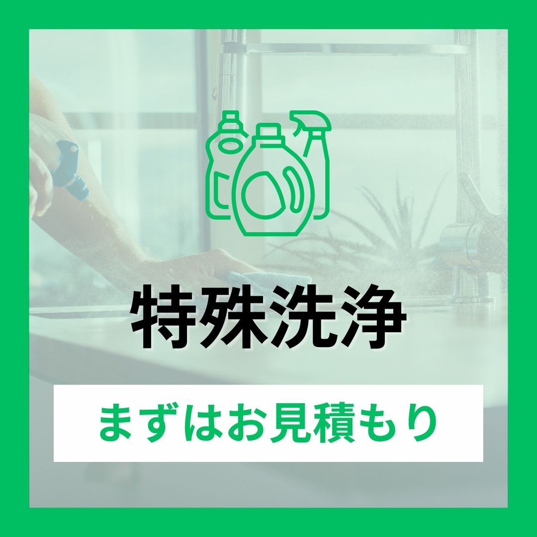 特殊洗浄