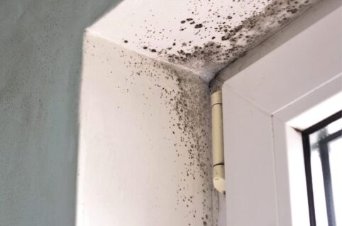 大型家具の後ろや冊子、靴箱の防カビ対策