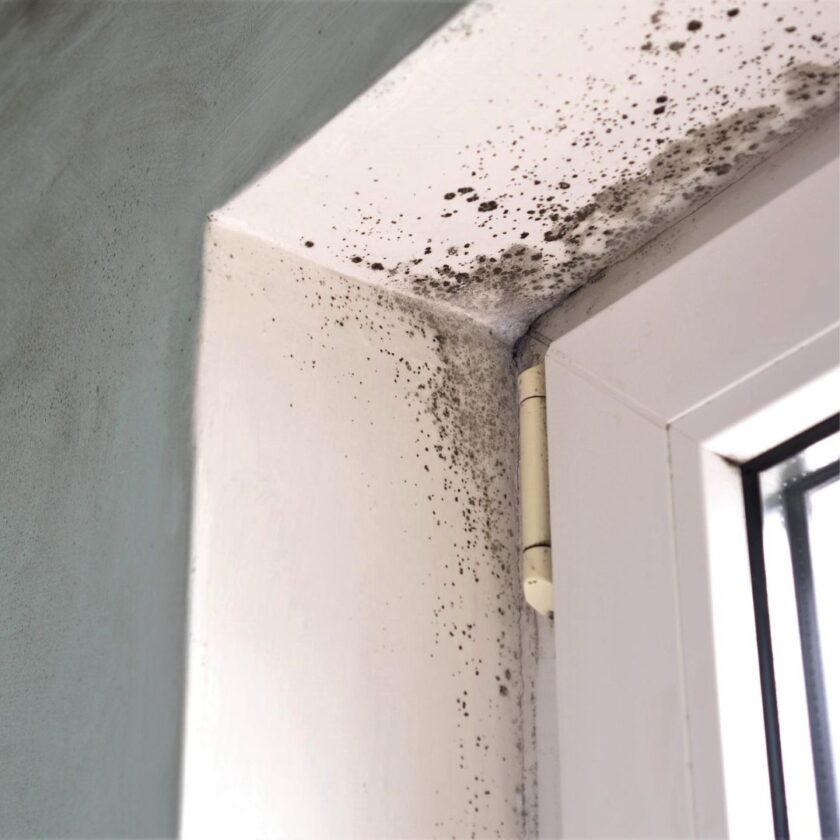 大型家具の後ろや冊子、靴箱の防カビ対策