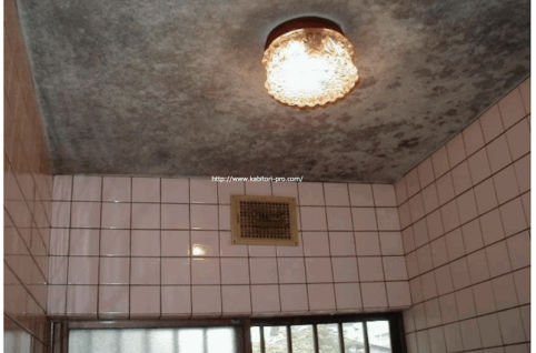 施工事例１：浴室の天井の防カビ対策