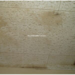 施工事例2:自宅の天井の防カビ対策