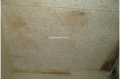 施工事例２：自宅の天井の防カビ対策