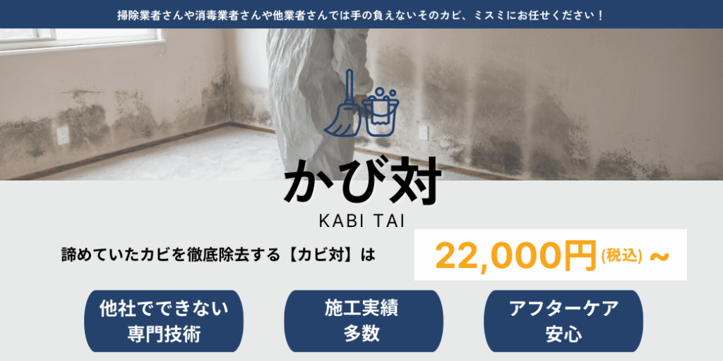 頑固なカビの除去をプロの技術に任せるならカビ対