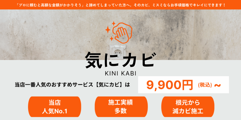 気になるカビの除去を格安で除去するなら気にカビ