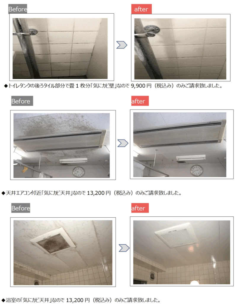 気にカビの施工事例