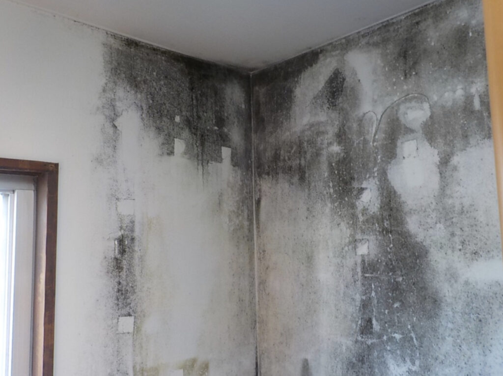 タンスの裏のカビ対策